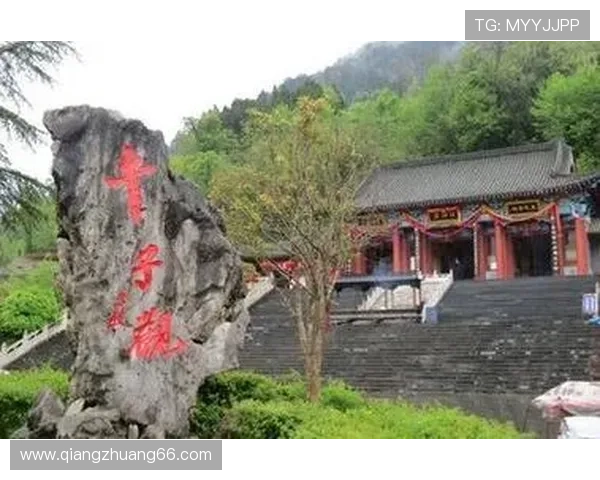 探秘大红鹰背后的文化与历史底蕴