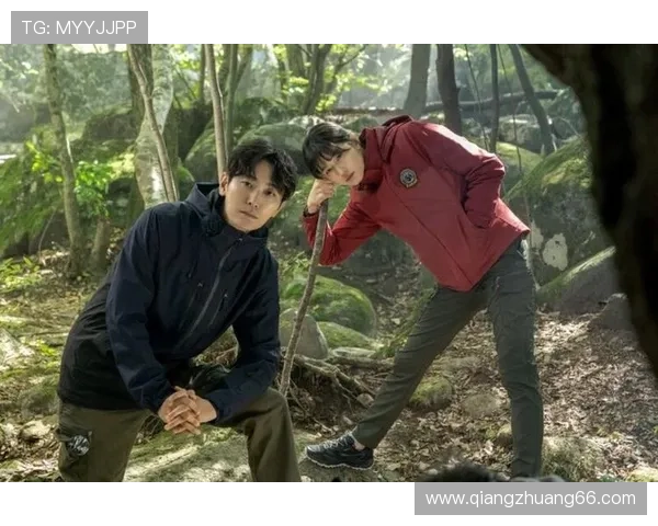 TVN直播精彩放送：热门韩剧与综艺实时追看指南